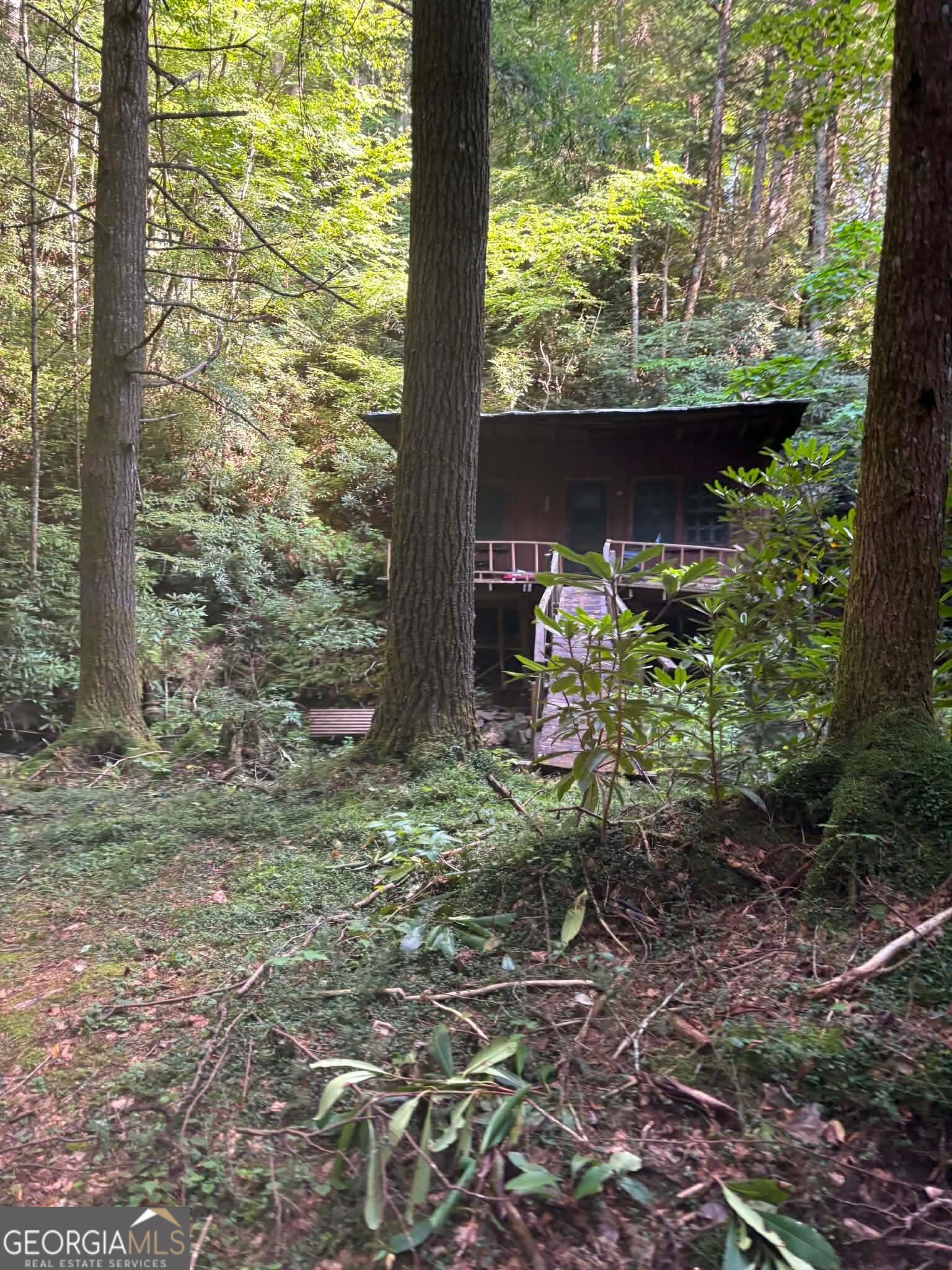 3 & 4 Jacks River Road Property Photo 2