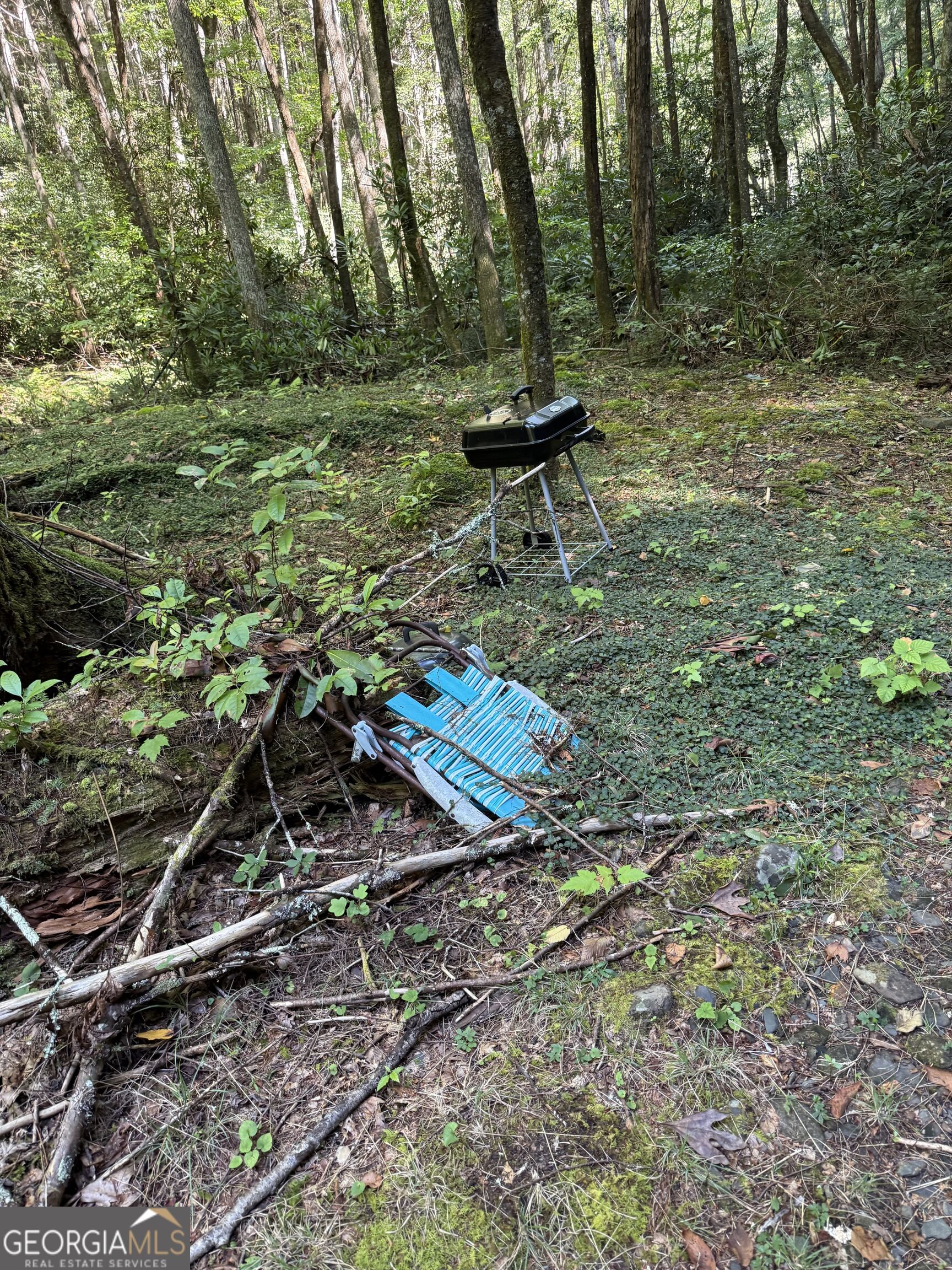 3 & 4 Jacks River Road Property Photo 8