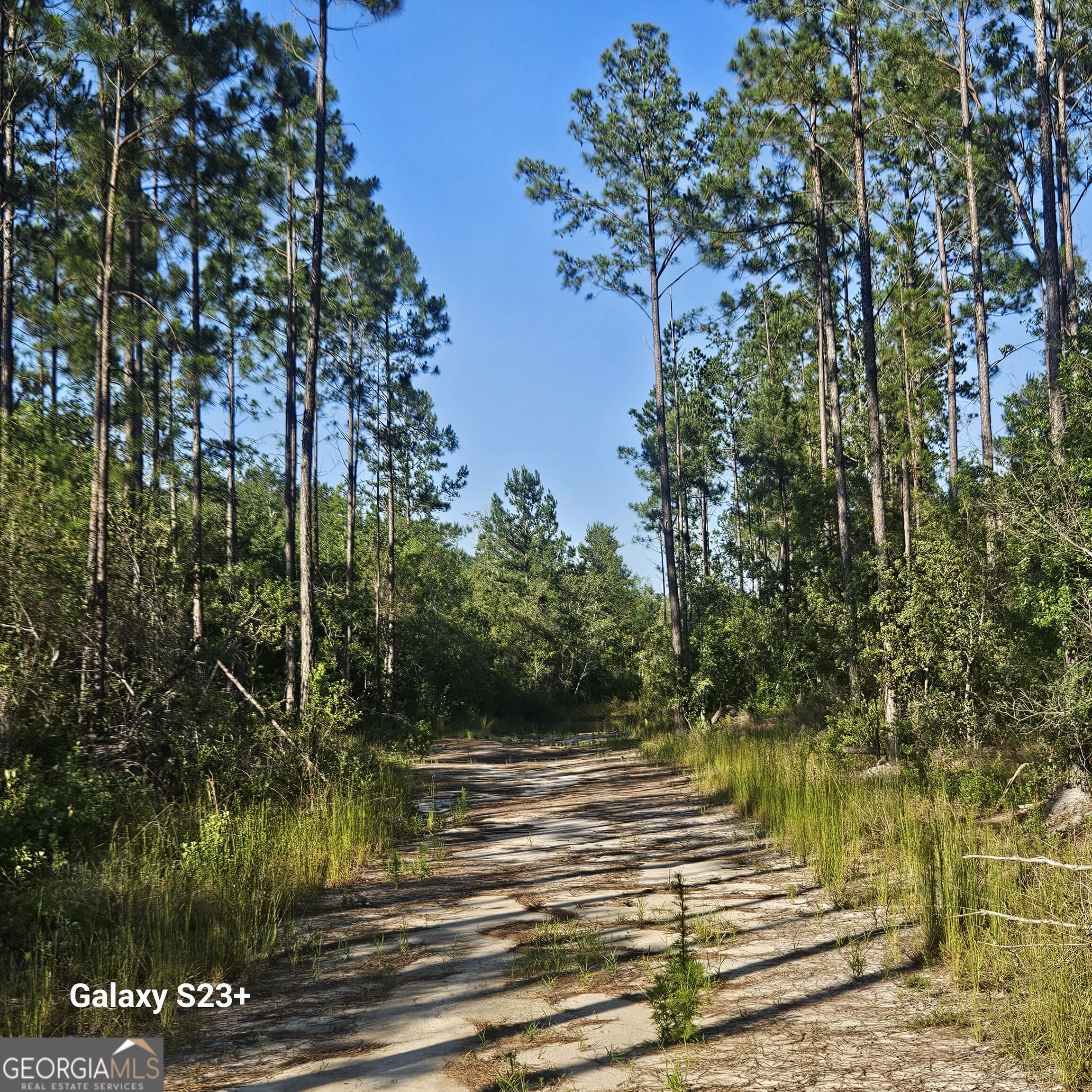 0 Mill Branch Club Road Lot 1n Property Photo 1