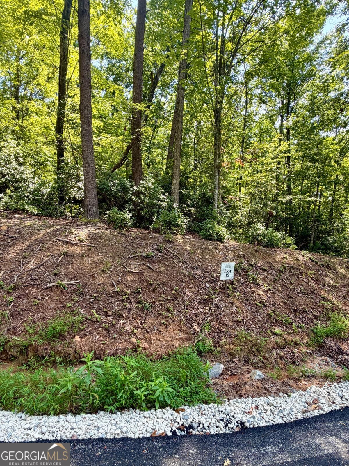 LOT 12 Sapphire Ridge Property Photo 1