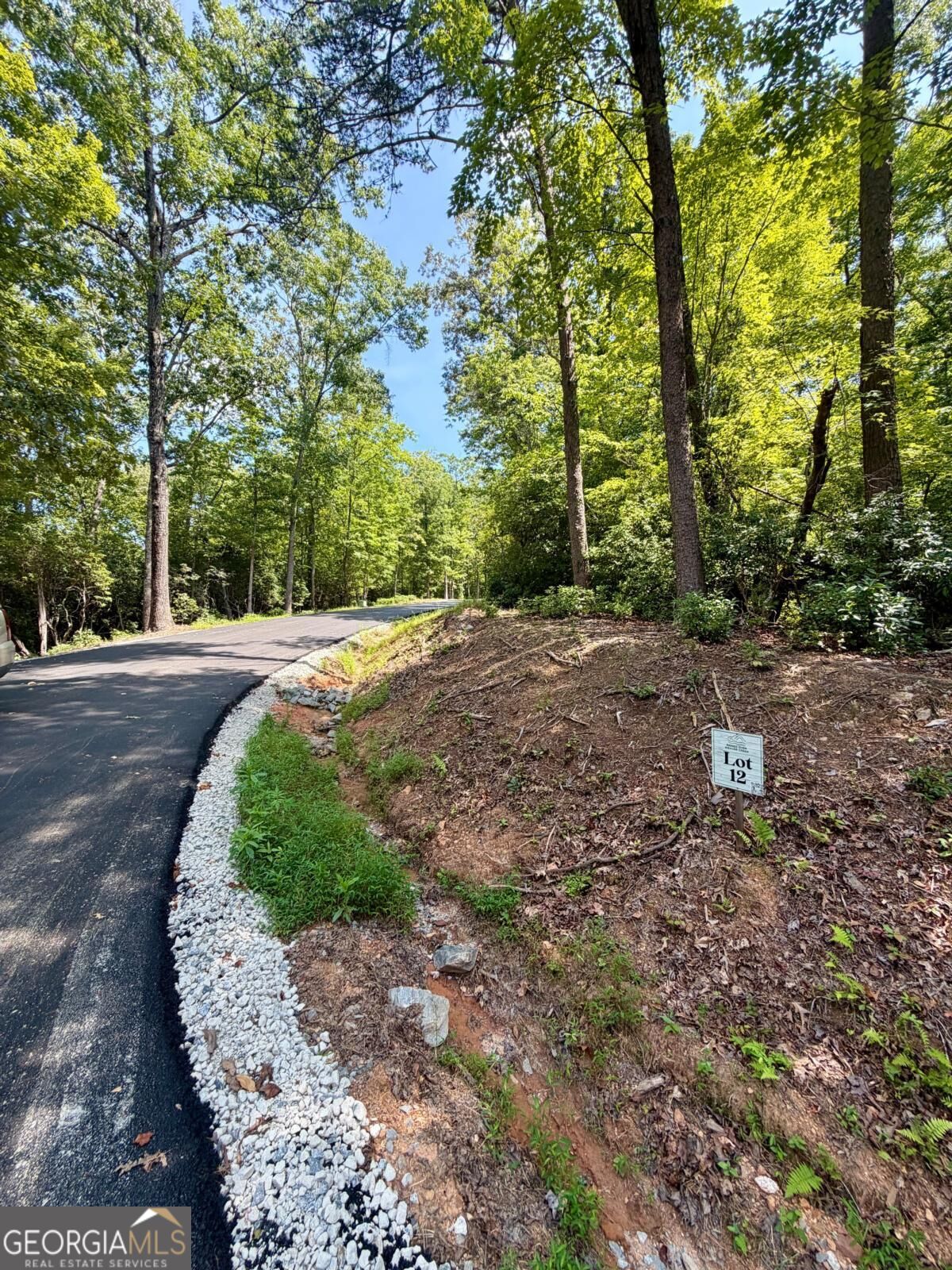 Lot 12 Sapphire Ridge Property Photo 2