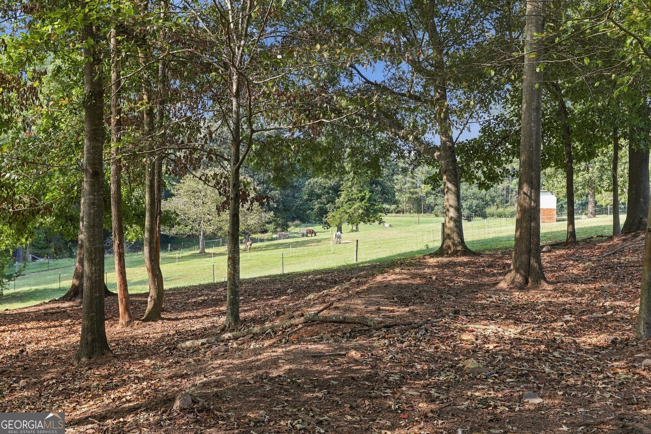 145 Gumlog Grove Road Property Photo 51