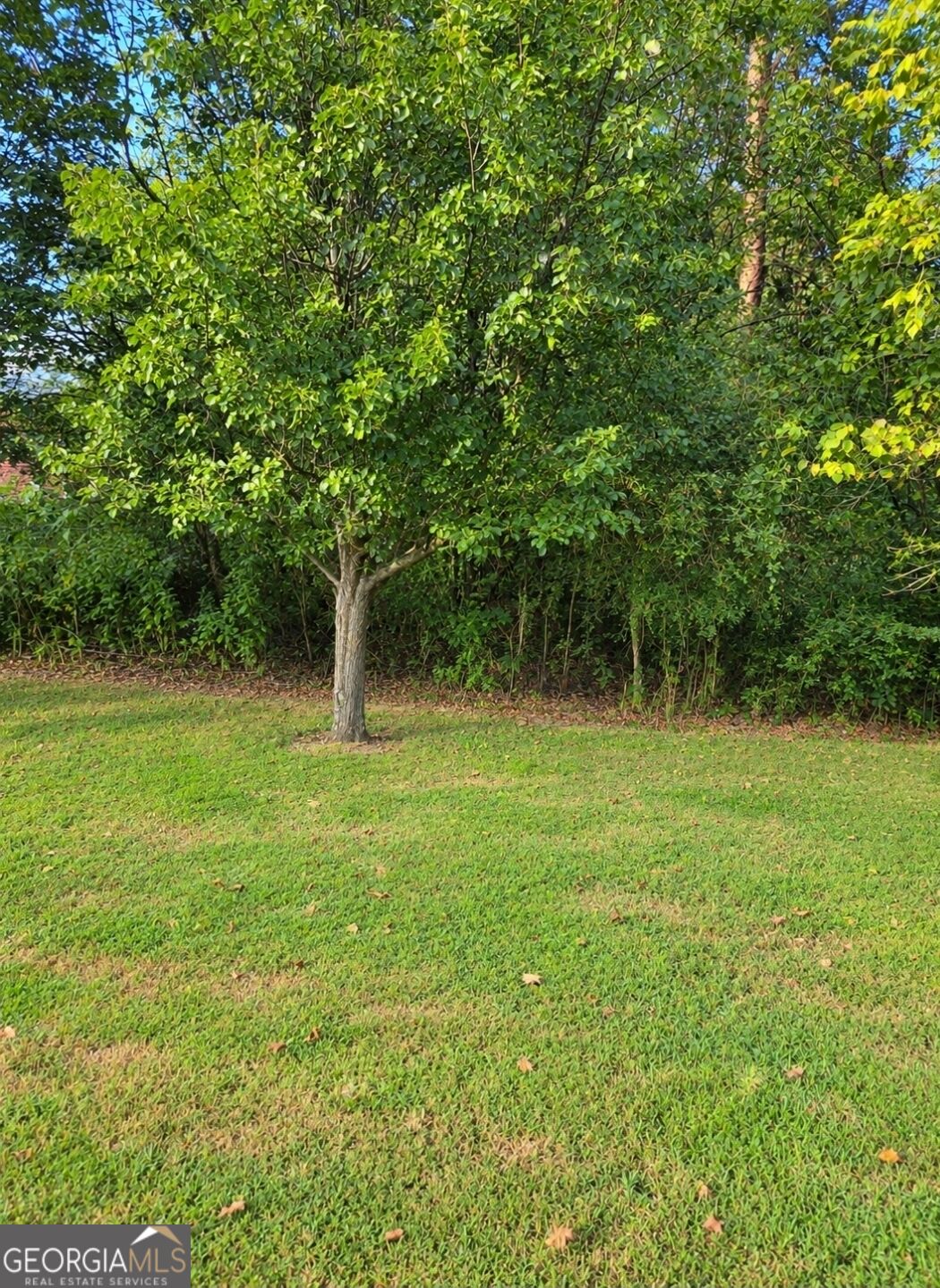 97 E Riley Property Photo 10