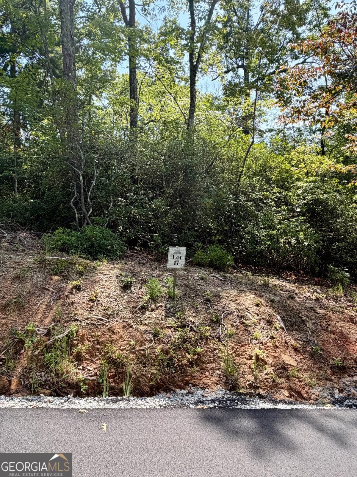 Lot 17 Turquoise Ridge Property Photo 3