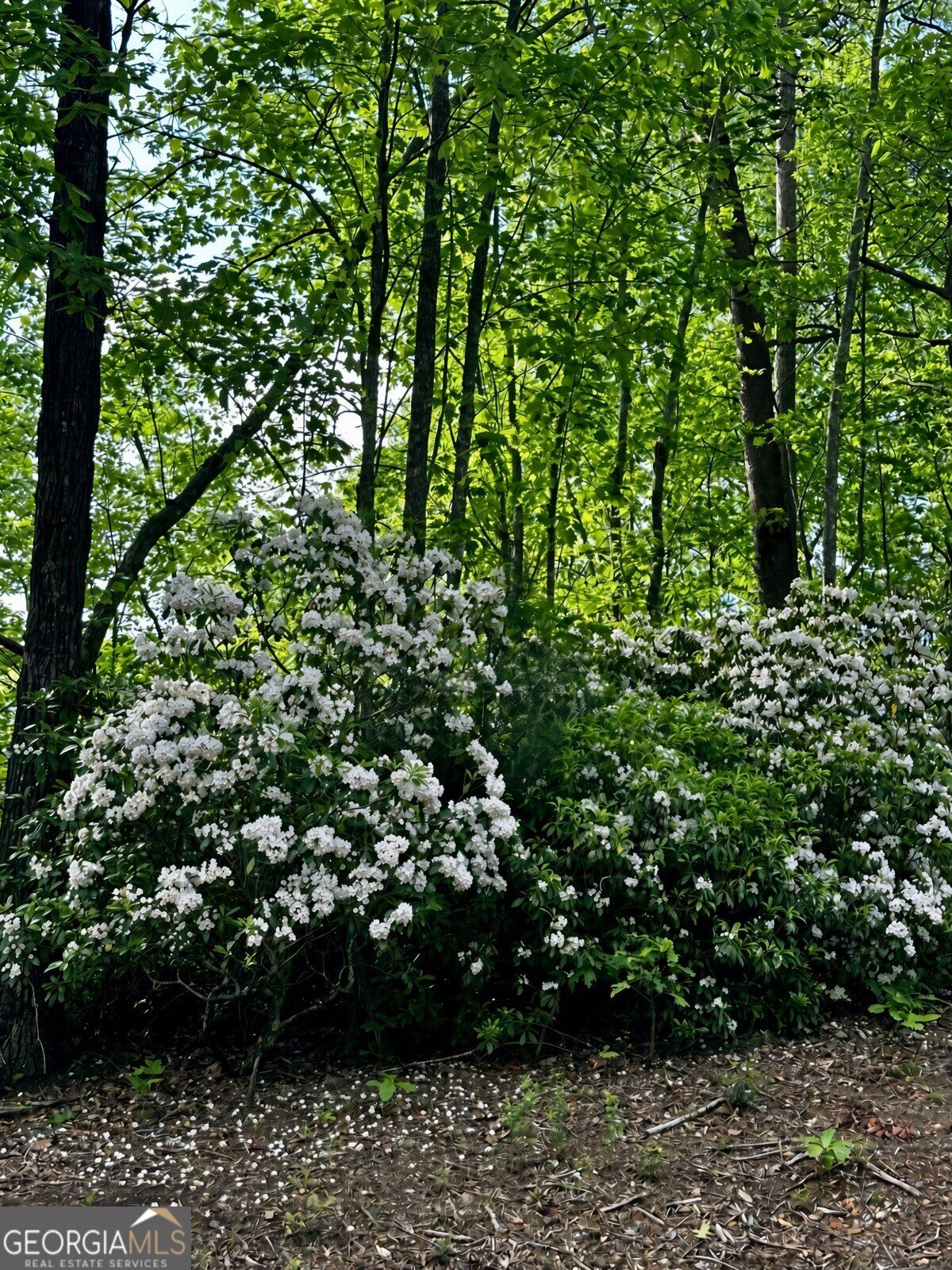Lot 17 Turquoise Ridge Property Photo 15