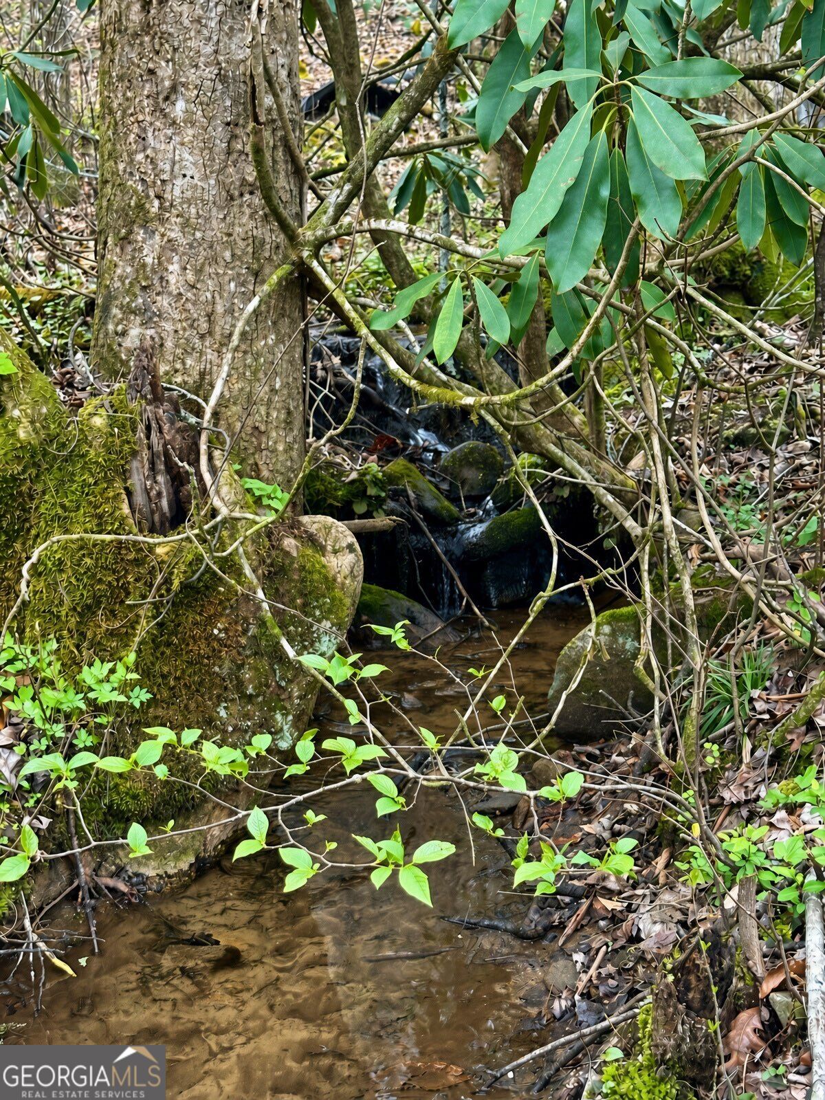 Lot 21 Turquoise Ridge Property Photo 6