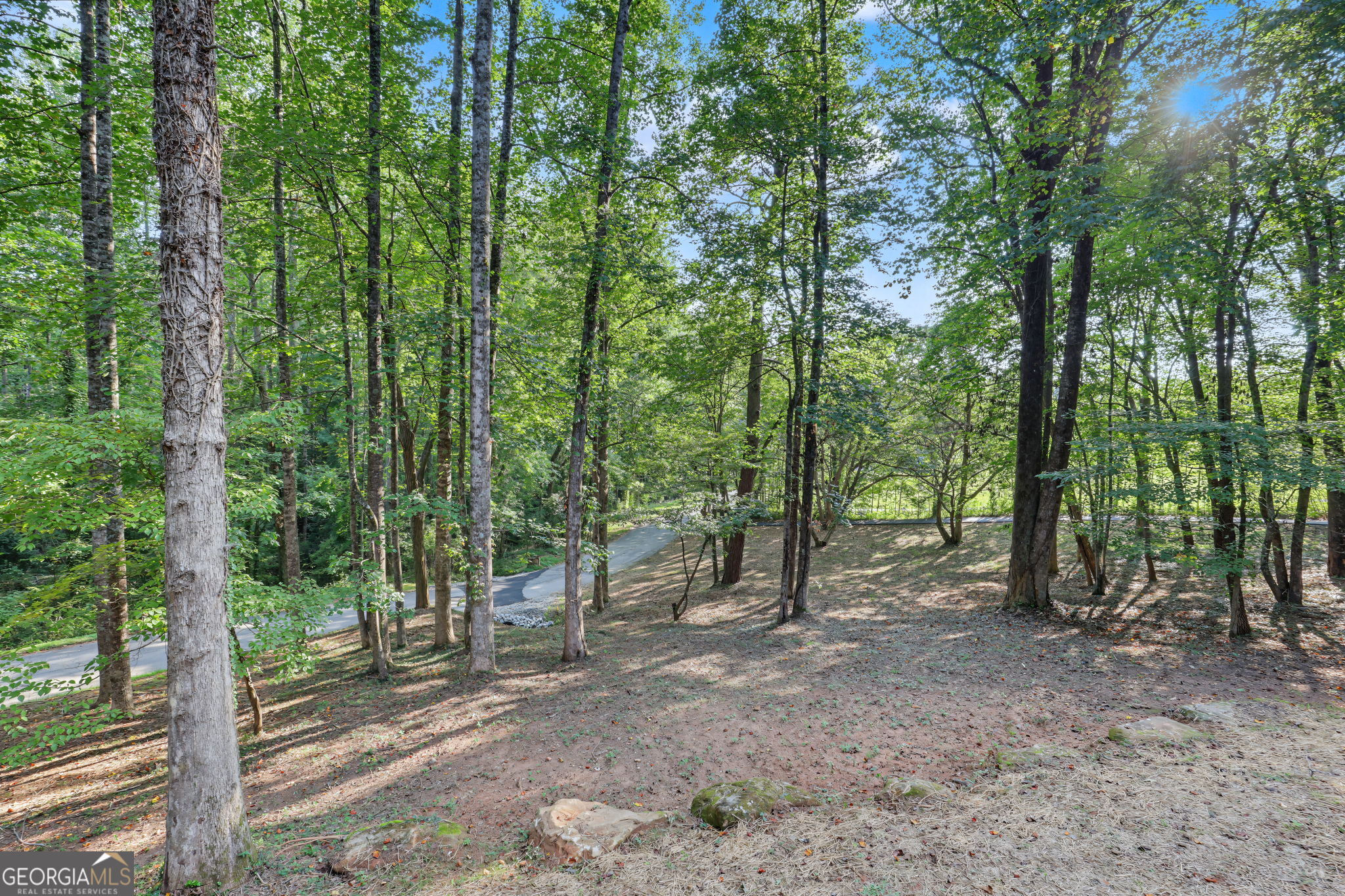 623 Deerfield Drive Property Photo 7