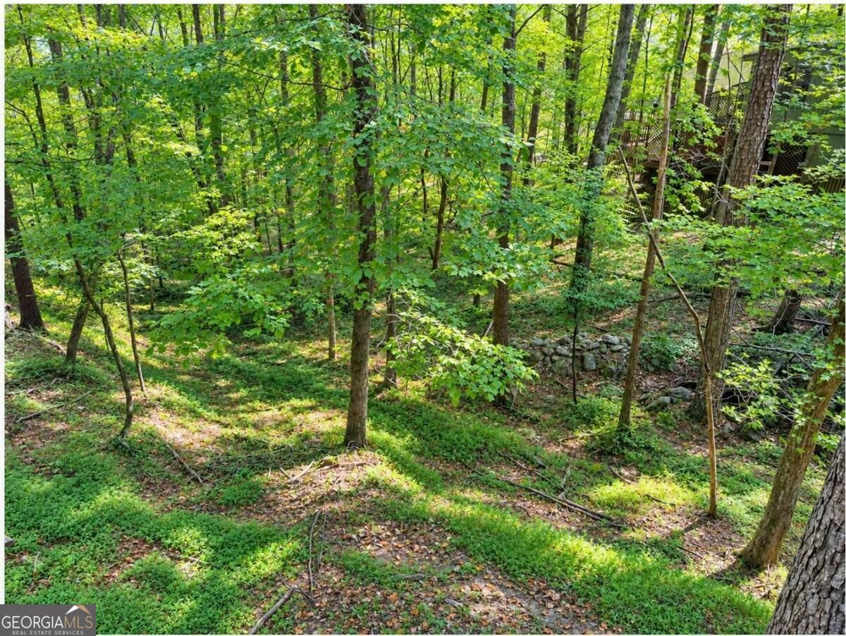 110 Indian Ridge Court Property Photo 24