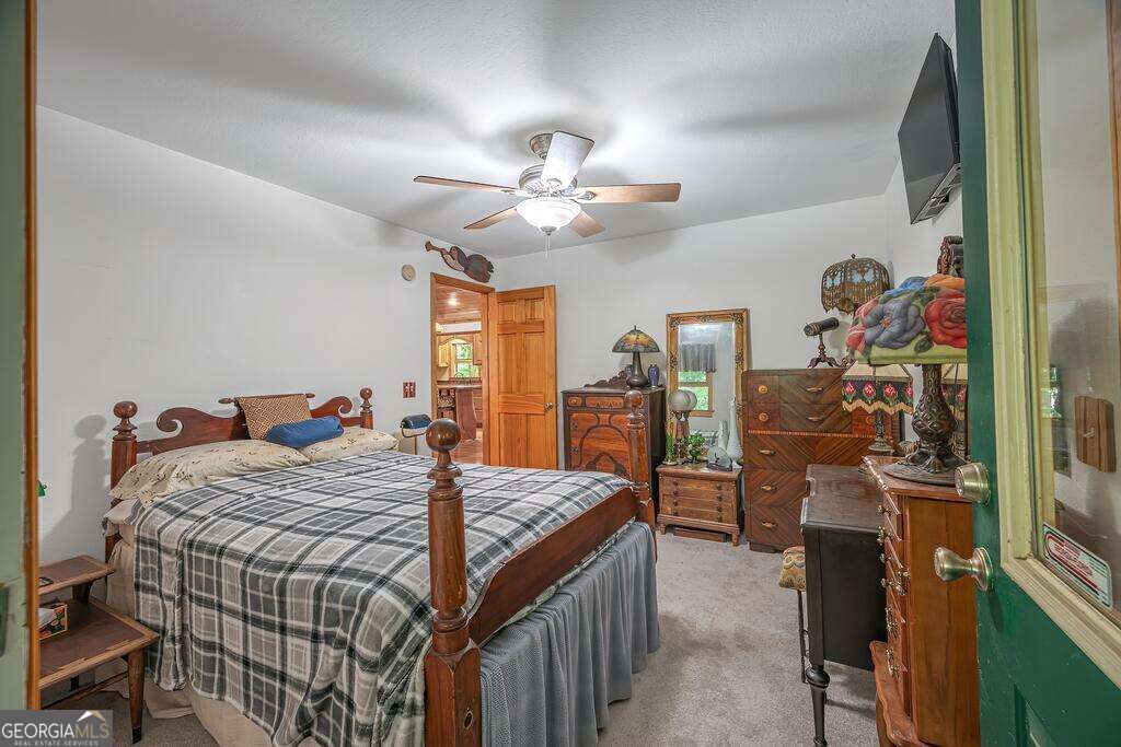 320 Mossy Creek Trail Property Photo 28