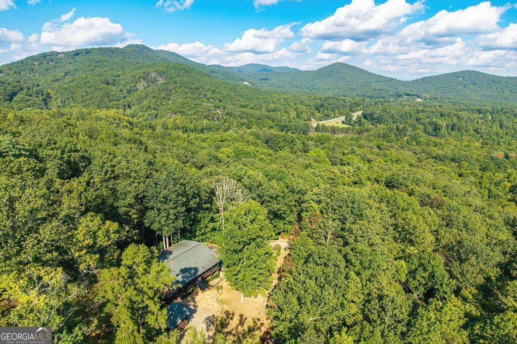 320 Mossy Creek Trail Property Photo 48