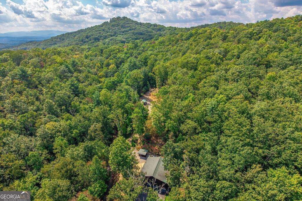 320 Mossy Creek Trail Property Photo 49