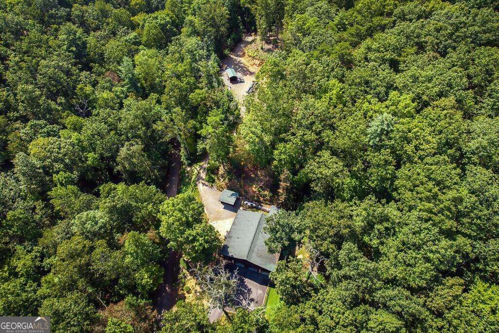 320 Mossy Creek Trail Property Photo 50