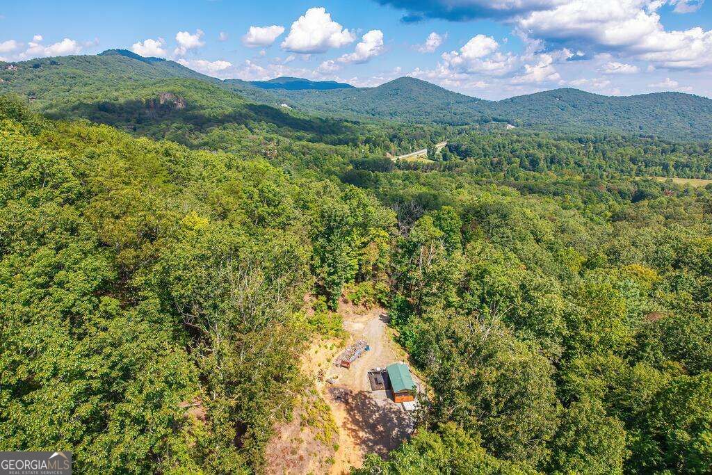 320 Mossy Creek Trail Property Photo 52