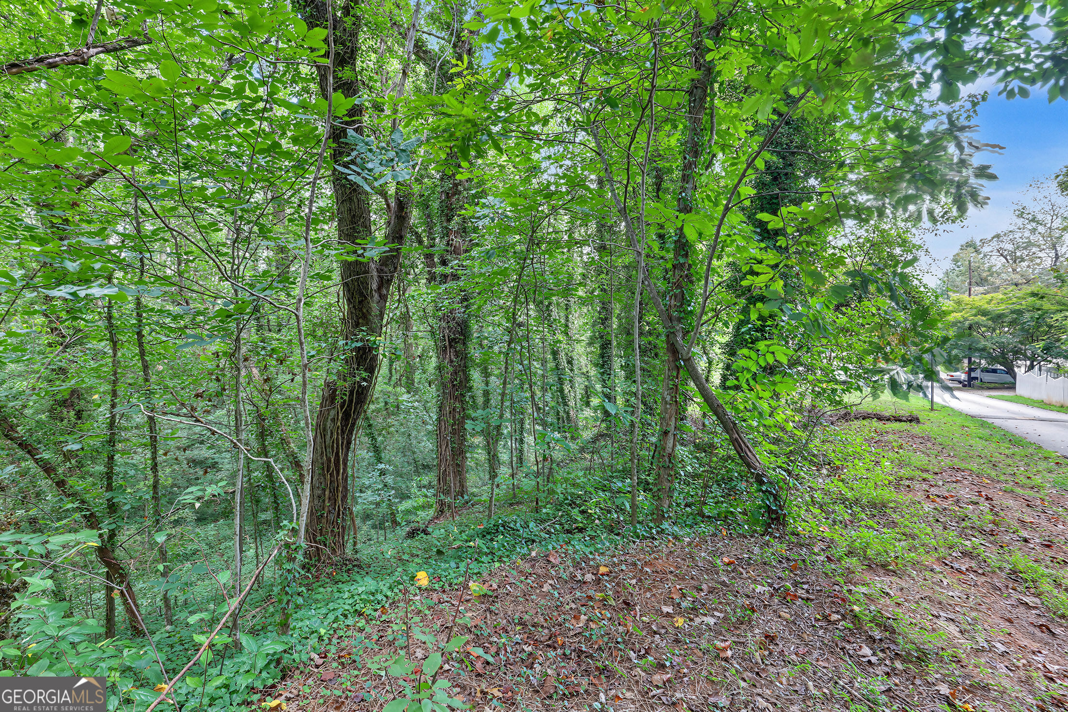98 Pickett Hill Street Property Photo 45