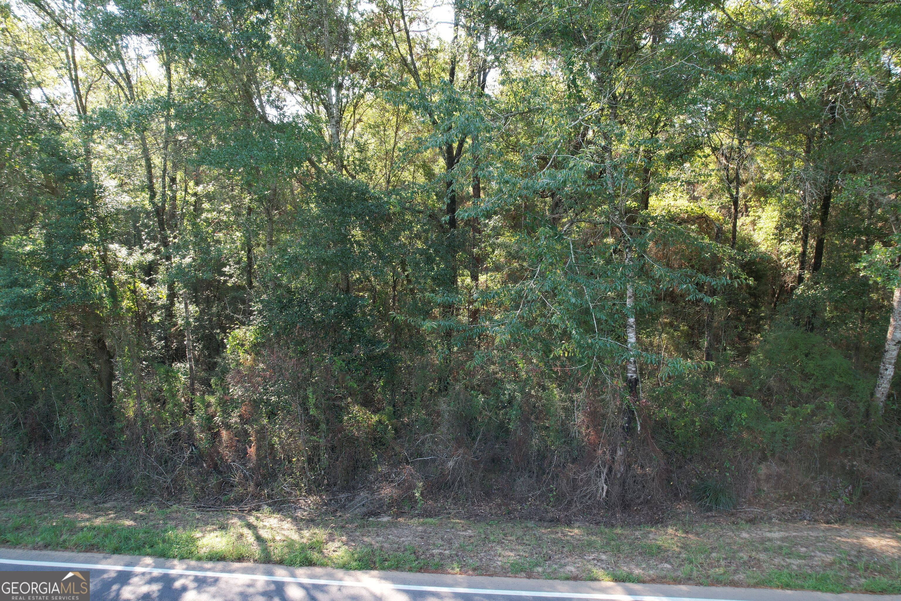 0 County Road 99 Unit A Property Photo 17
