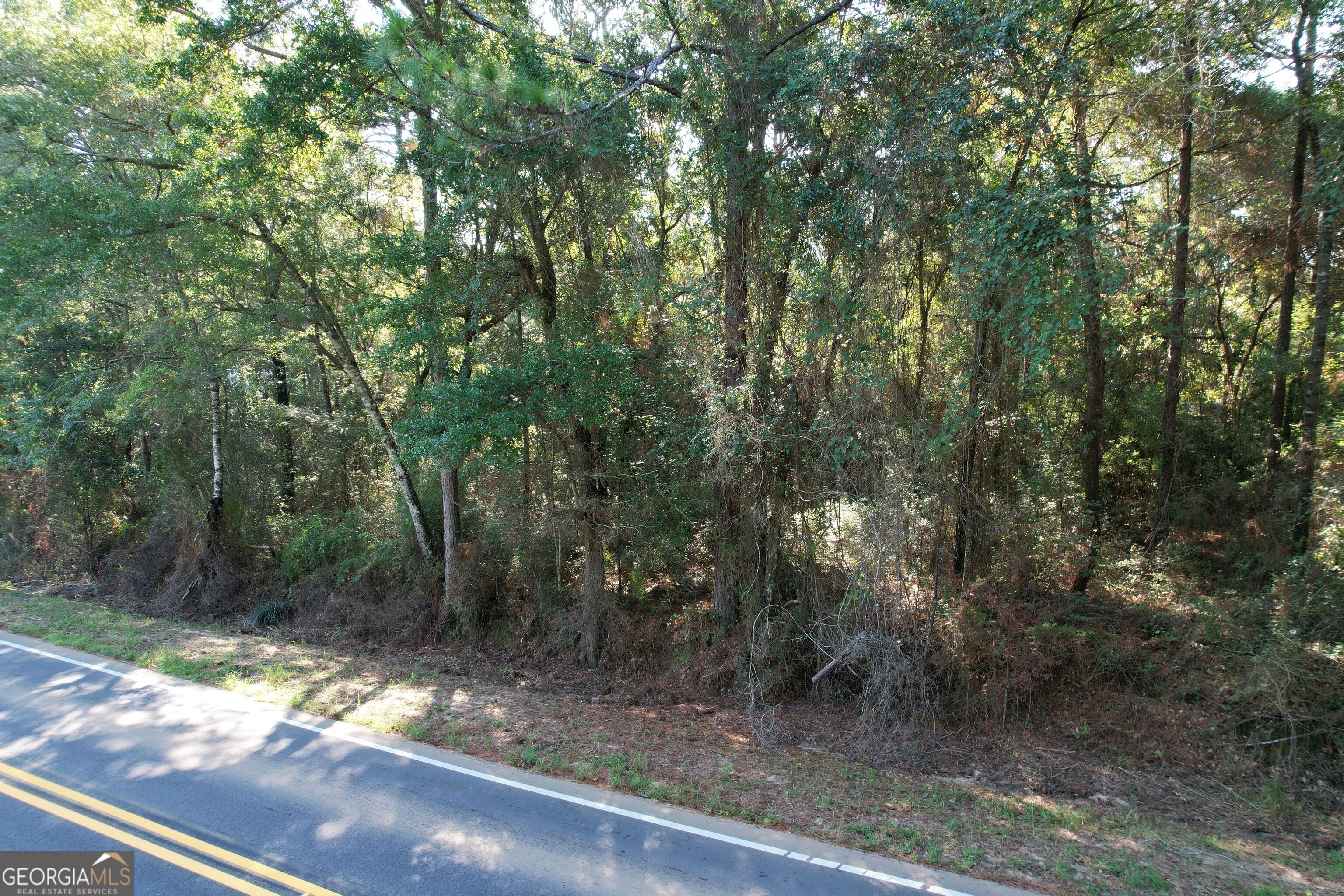 0 County Road 99 Unit A Property Photo 18