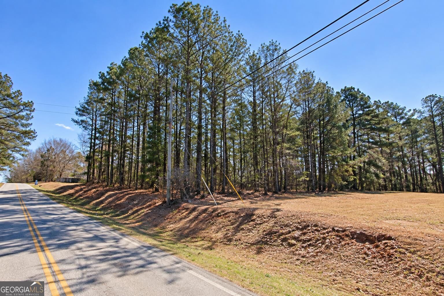 0 Dailey Mill Road Property Photo 3