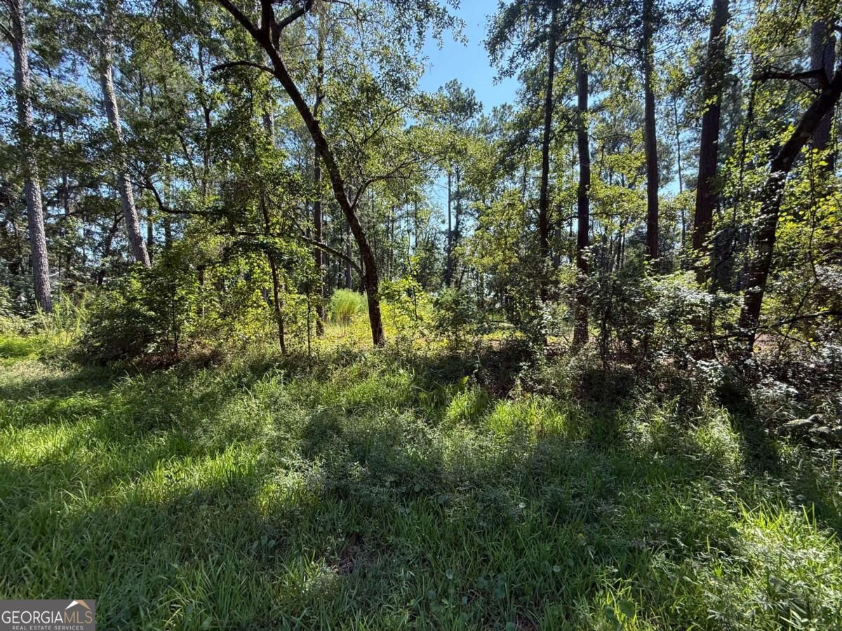 129 Sutherland Drive Property Photo 5