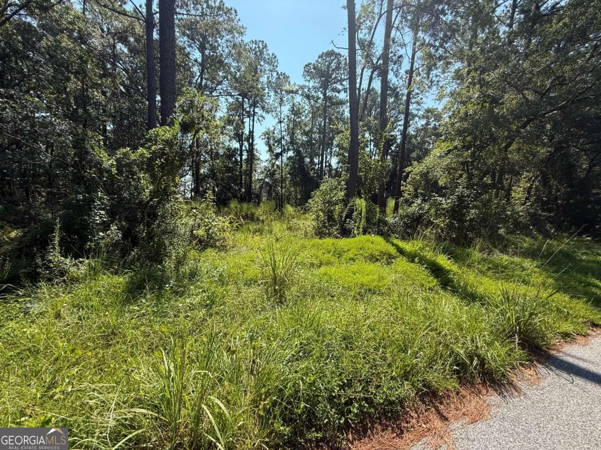 129 Sutherland Drive Property Photo 6