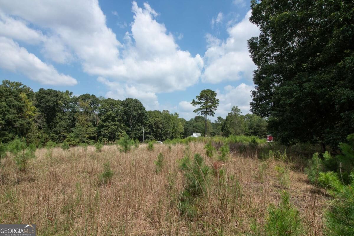 2439 Ila Road Property Photo 59