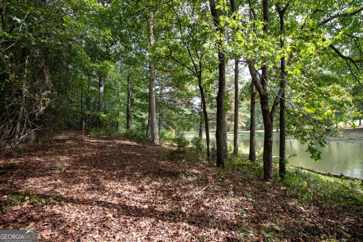 2439 Ila Road Property Photo 65