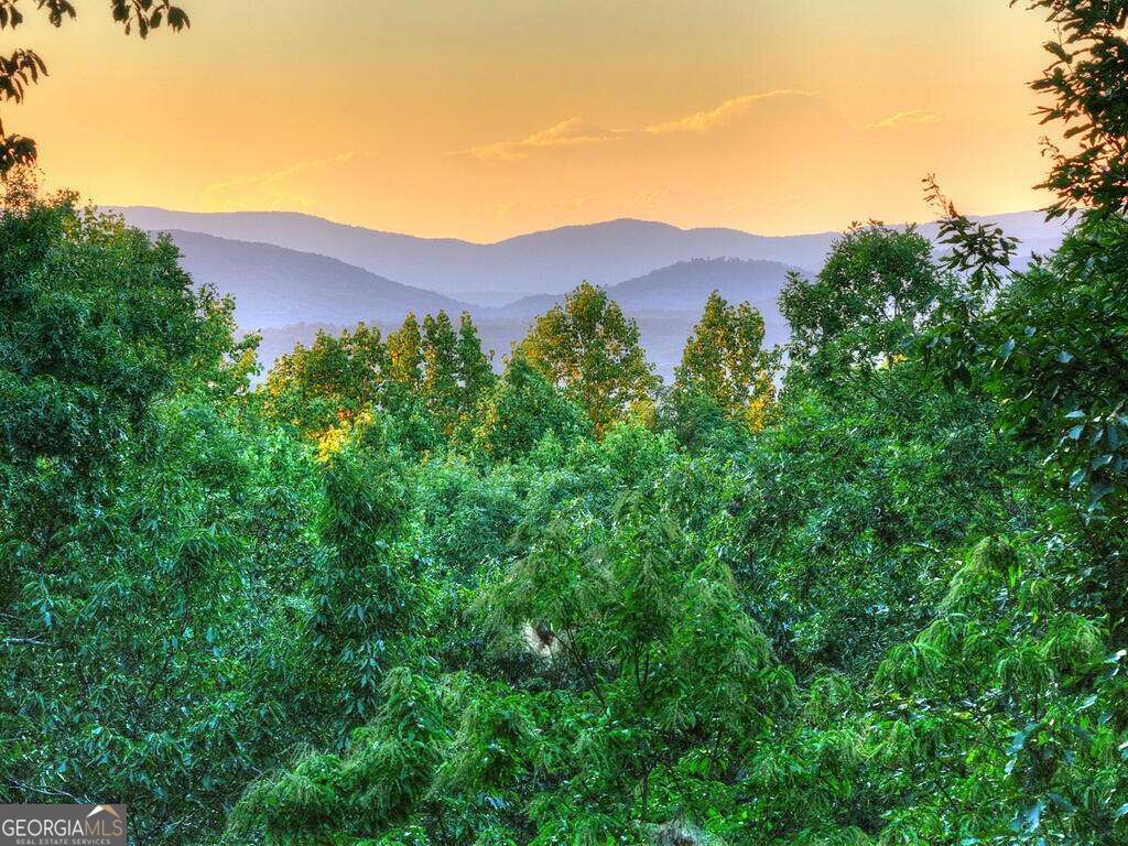 169 Walnut Mountain Road Property Photo 4