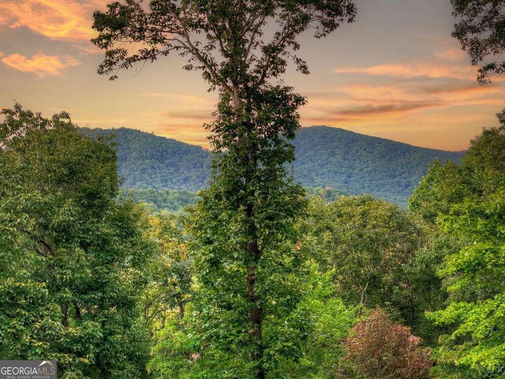 169 Walnut Mountain Road Property Photo 40
