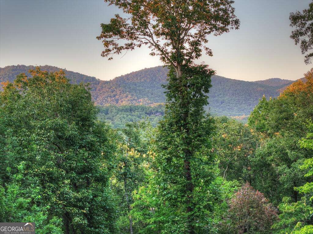169 Walnut Mountain Road Property Photo 57