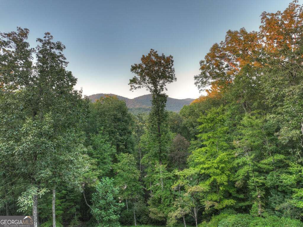 169 Walnut Mountain Road Property Photo 58