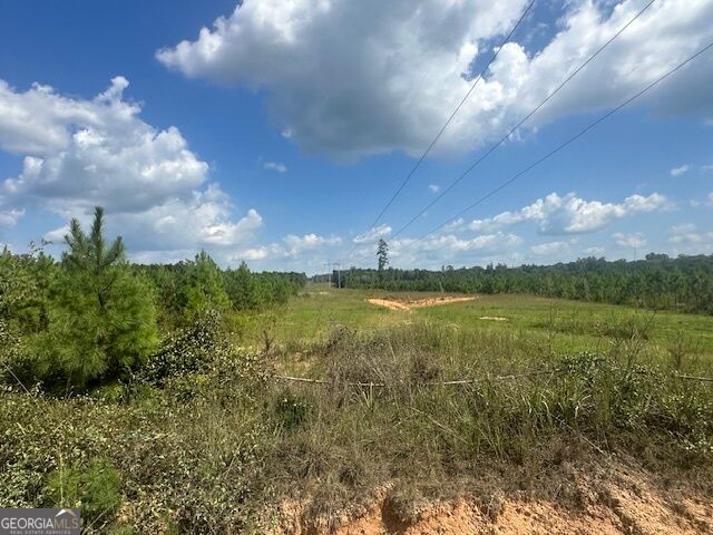 0 Millen Road # 20 Property Photo 1