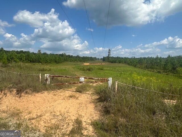0 Millen Road # 20 Property Photo 2
