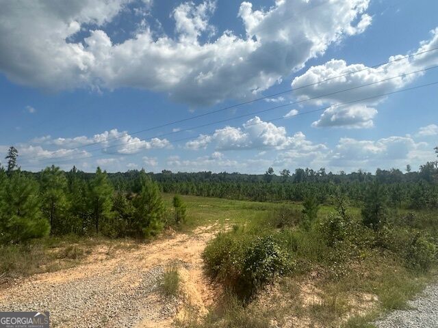 0 Millen Road # 20 Property Photo 4