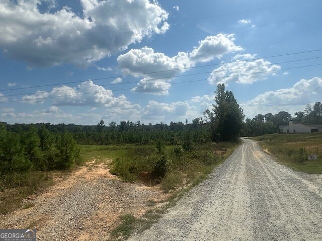 0 Millen Road # 20 Property Photo 5