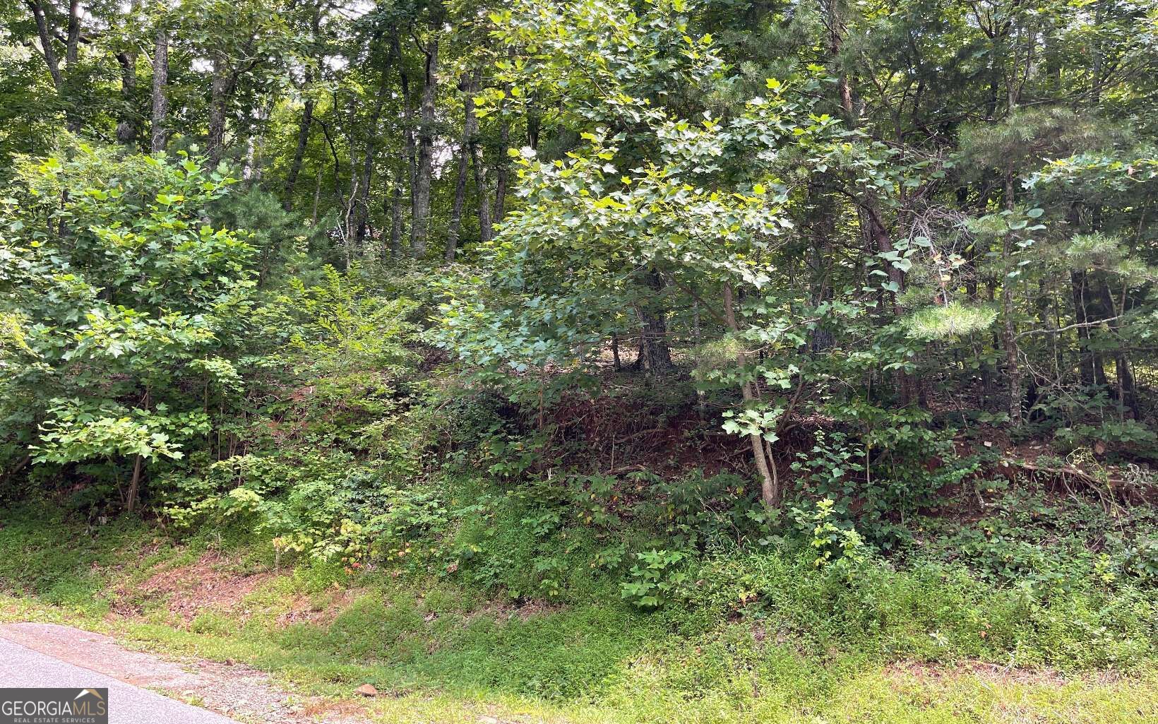 #10 Mountain Drive North Property Photo 1