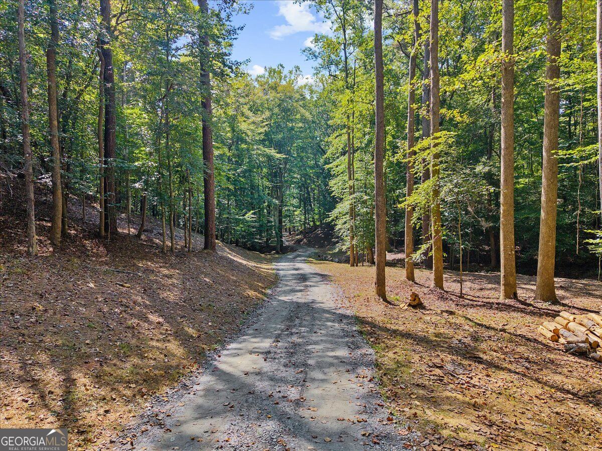 353 Jesse Martin Trail Property Photo 2