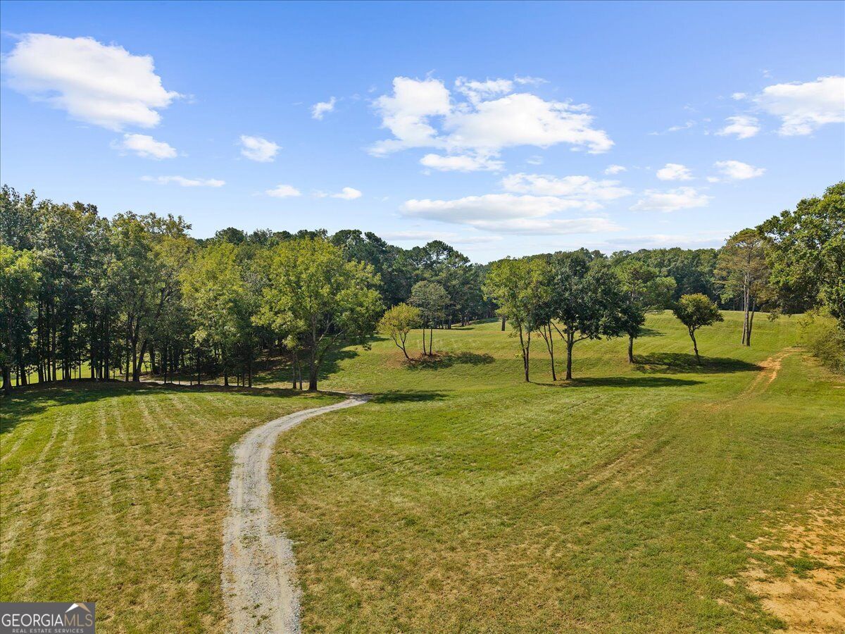 353 Jesse Martin Trail Property Photo 5