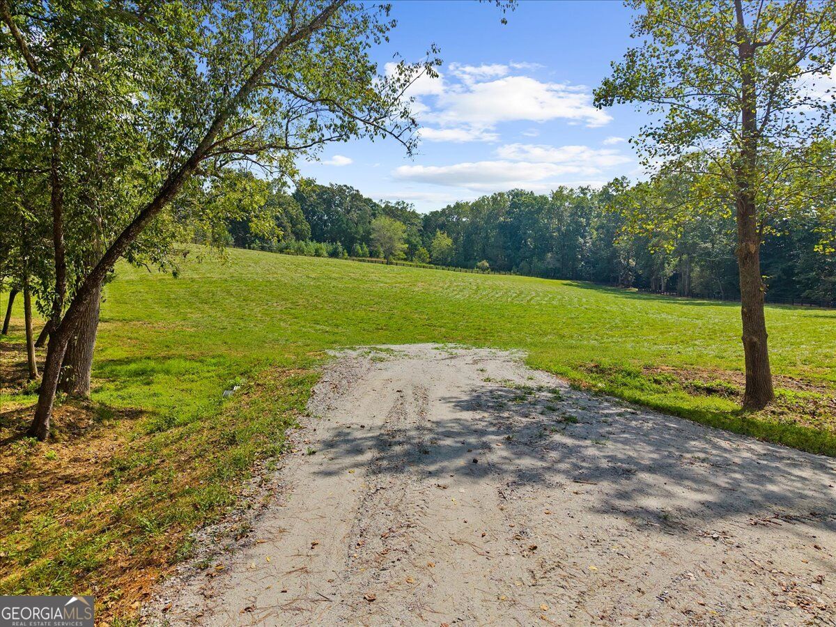 353 Jesse Martin Trail Property Photo 6