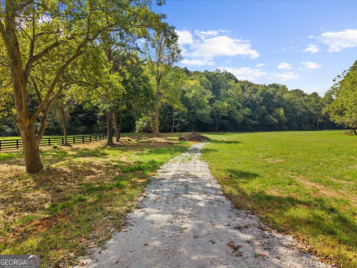 353 Jesse Martin Trail Property Photo 8