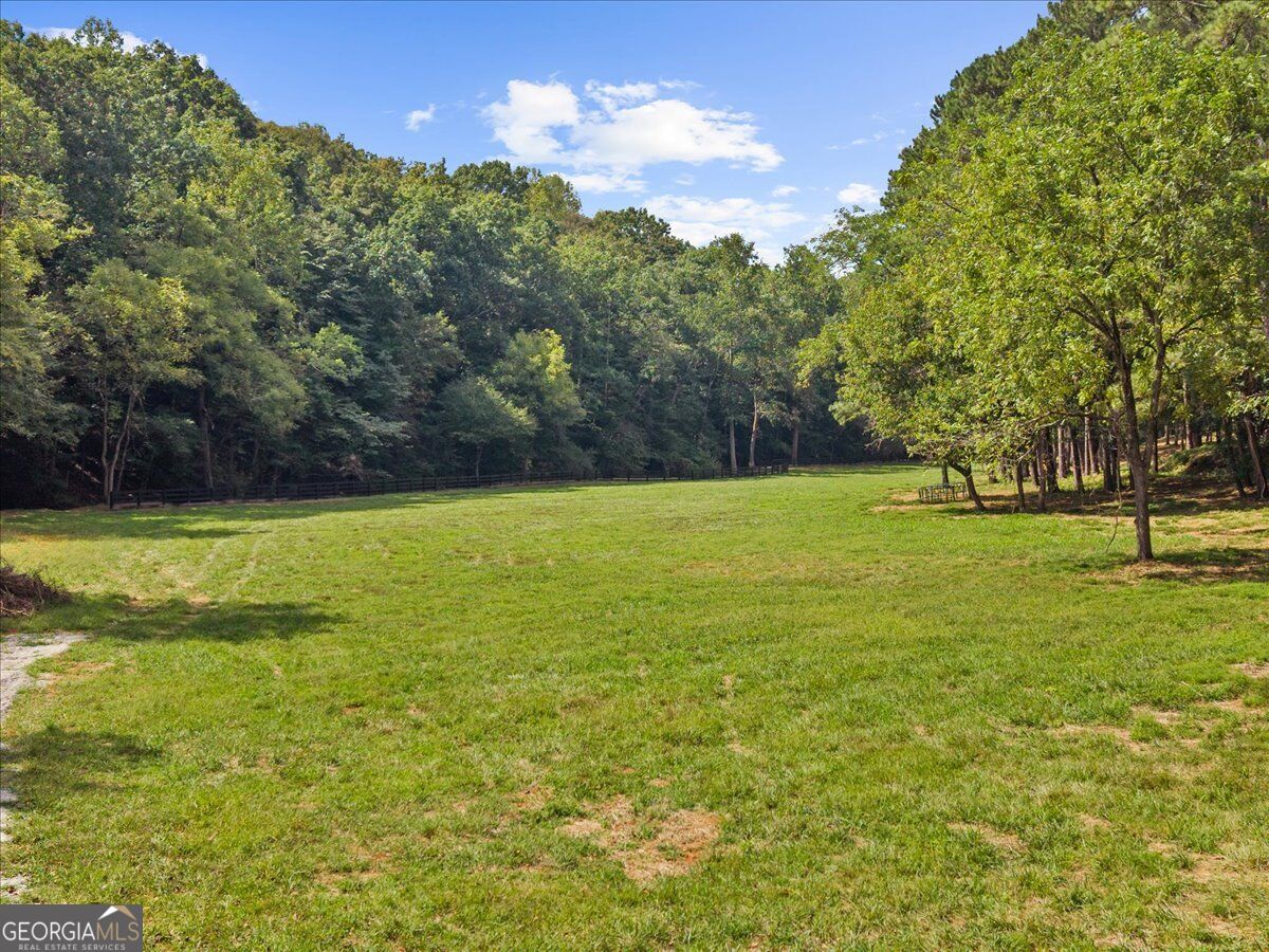 353 Jesse Martin Trail Property Photo 9
