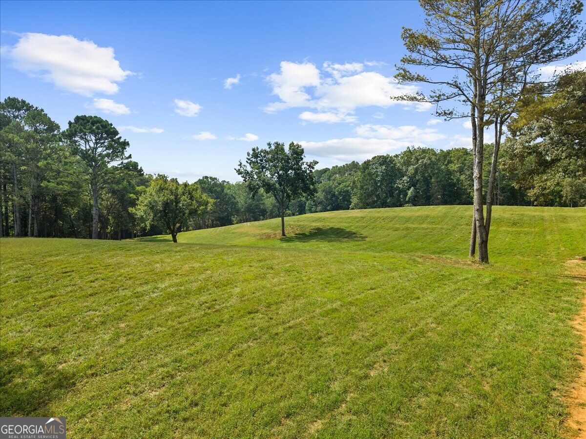 353 Jesse Martin Trail Property Photo 10