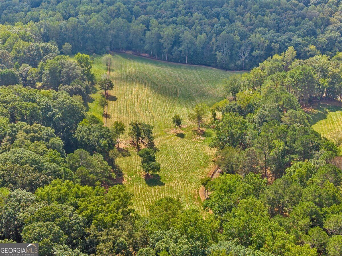 353 Jesse Martin Trail Property Photo 15