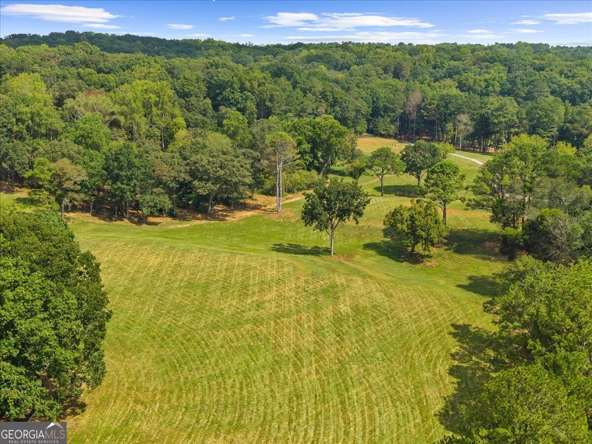 353 Jesse Martin Trail Property Photo 22