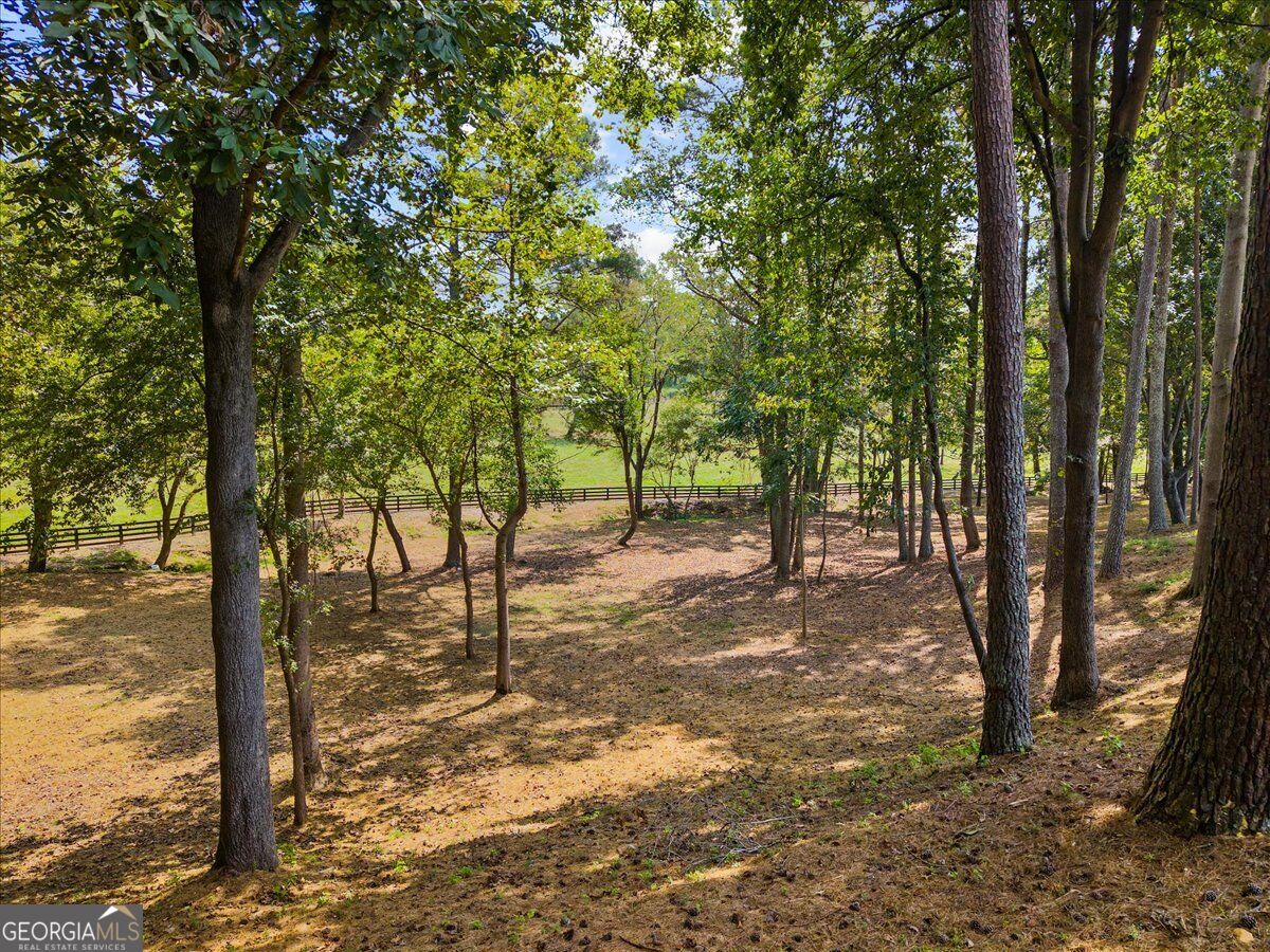 353 Jesse Martin Trail Property Photo 26