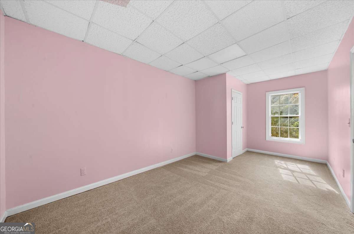 10017 Harmon Springs Drive Property Photo 48