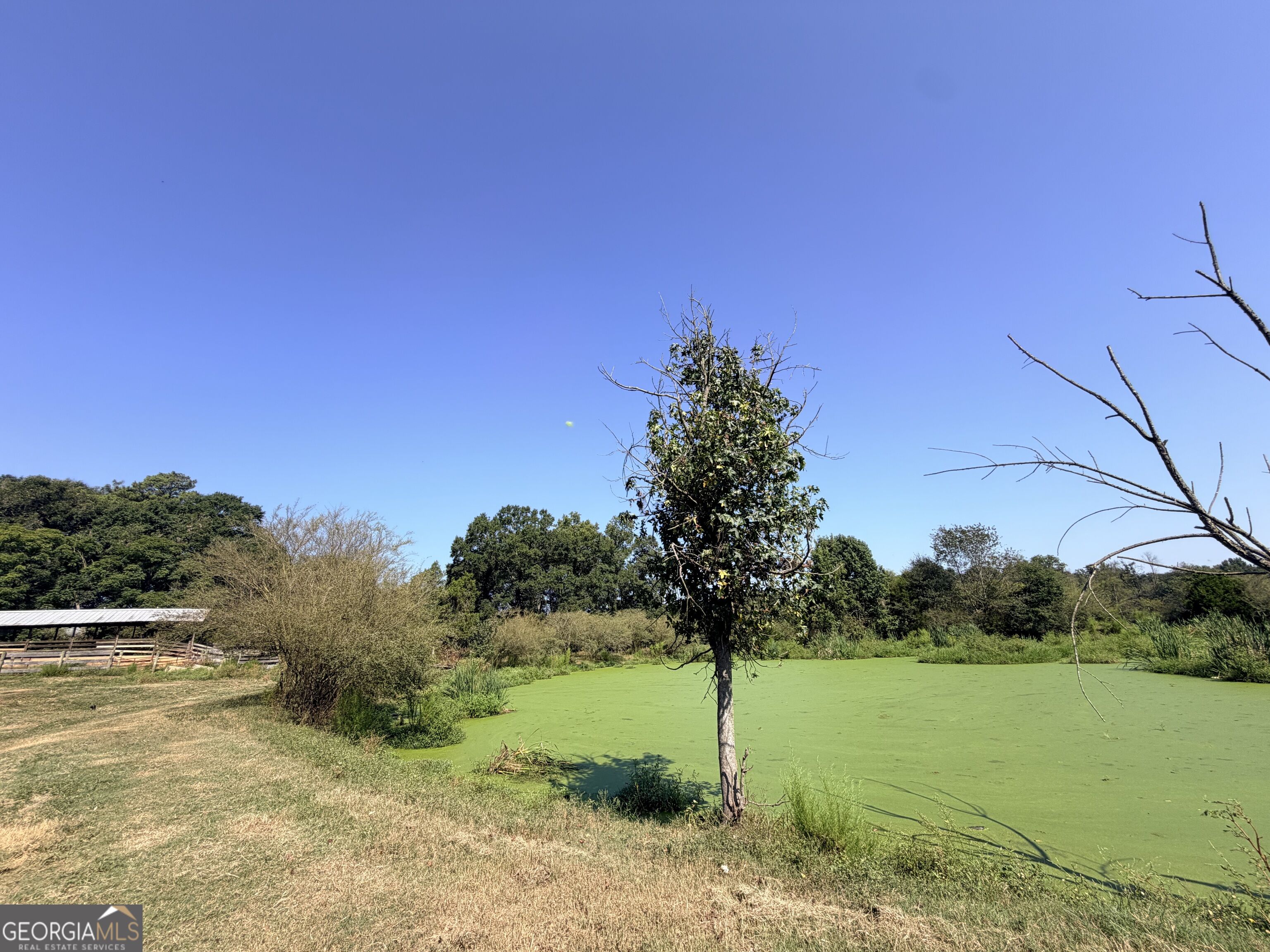 5587 Elberton Highway Property Photo 97