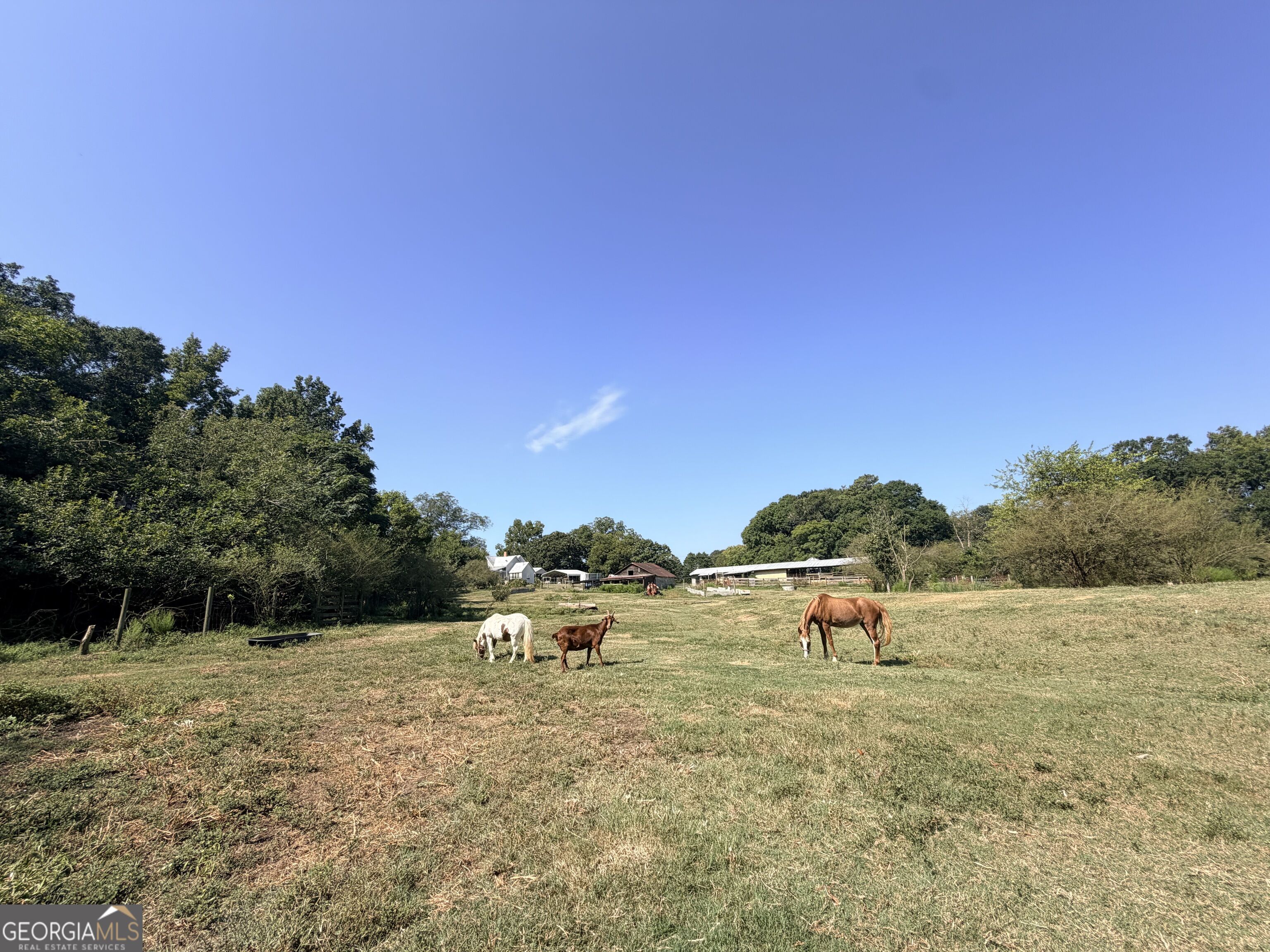 5587 Elberton Highway Property Photo 98
