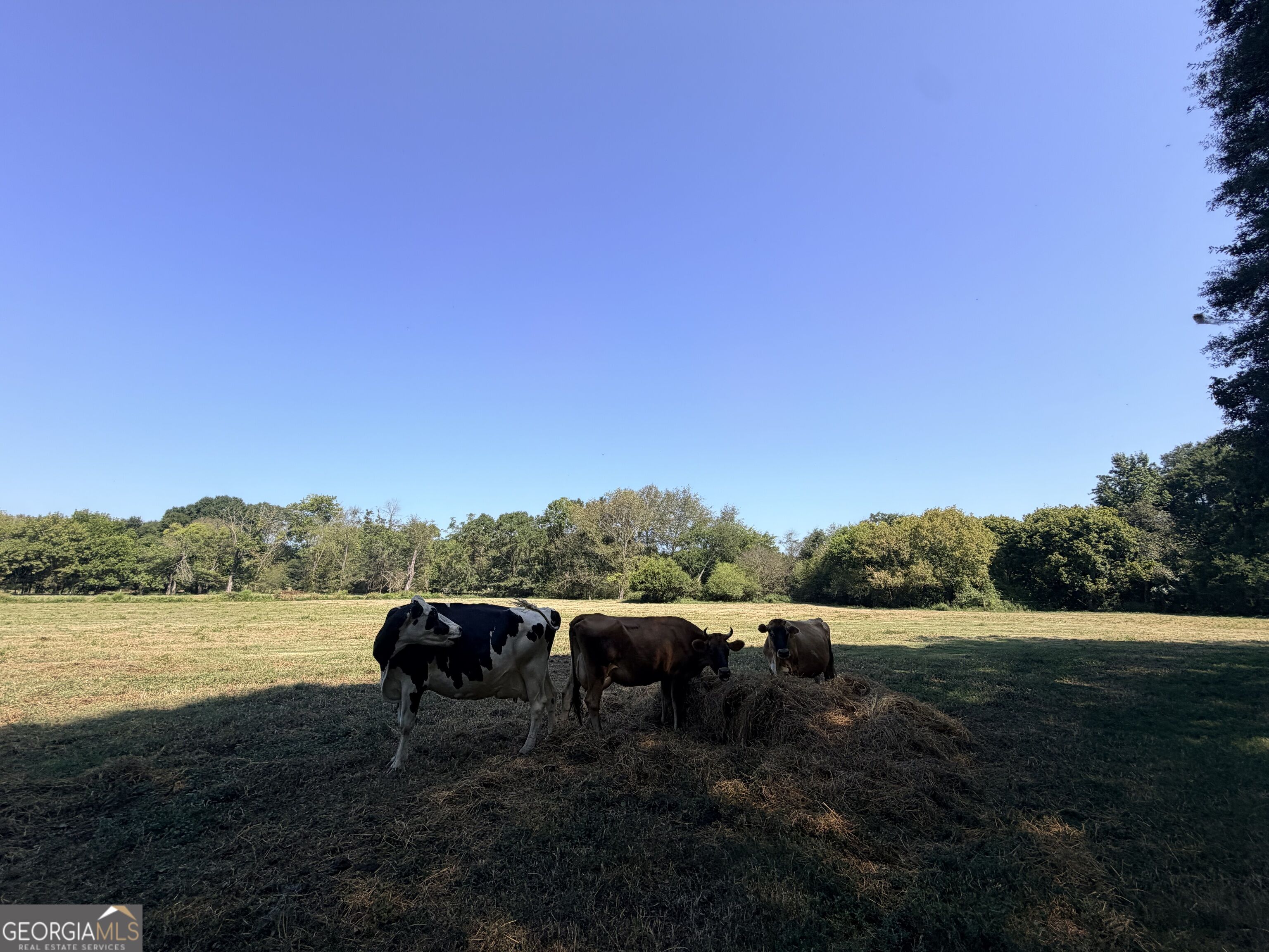 5587 Elberton Highway Property Photo 104
