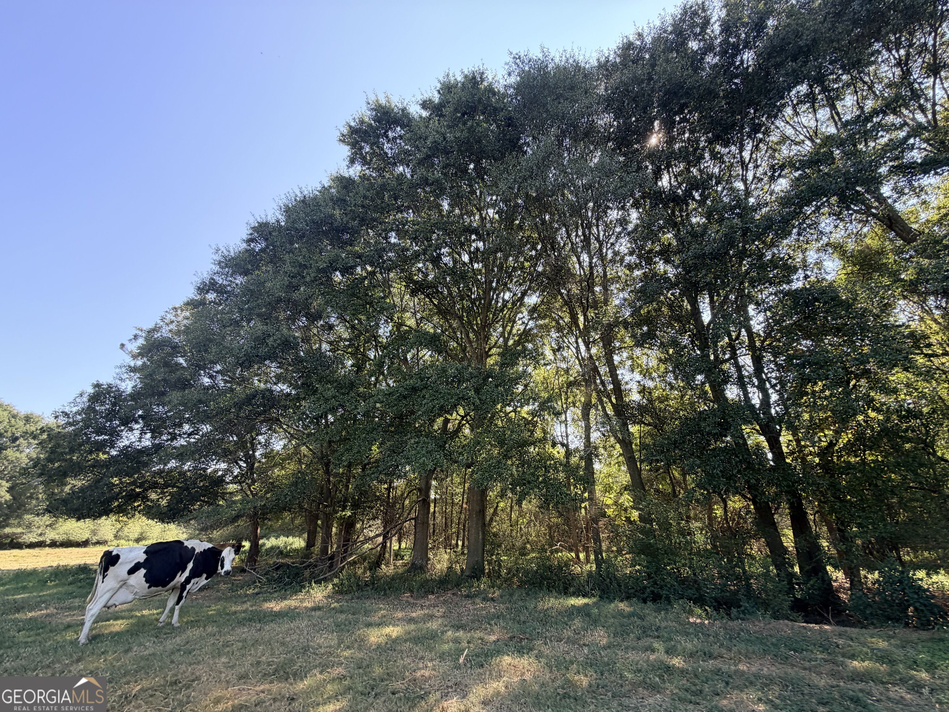 5587 Elberton Highway Property Photo 106