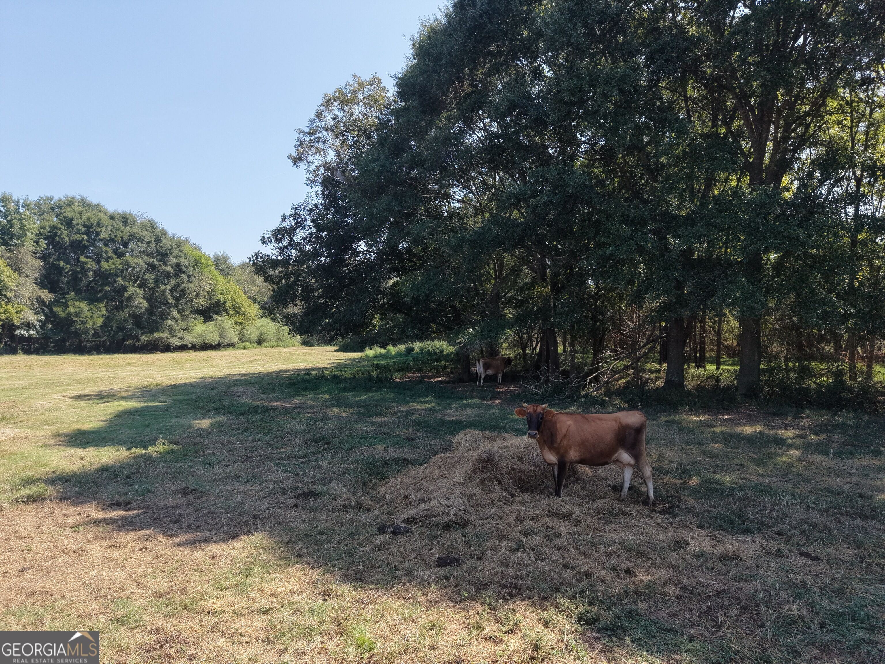 5587 Elberton Highway Property Photo 115