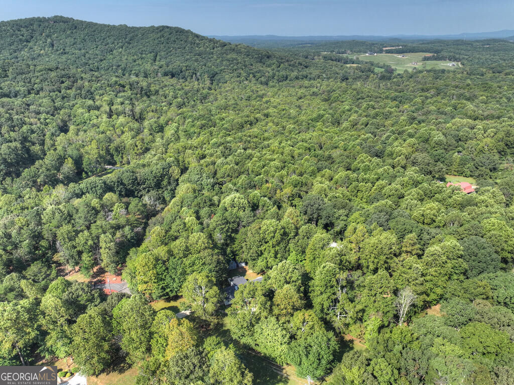 46 White Oak Drive Property Photo 11